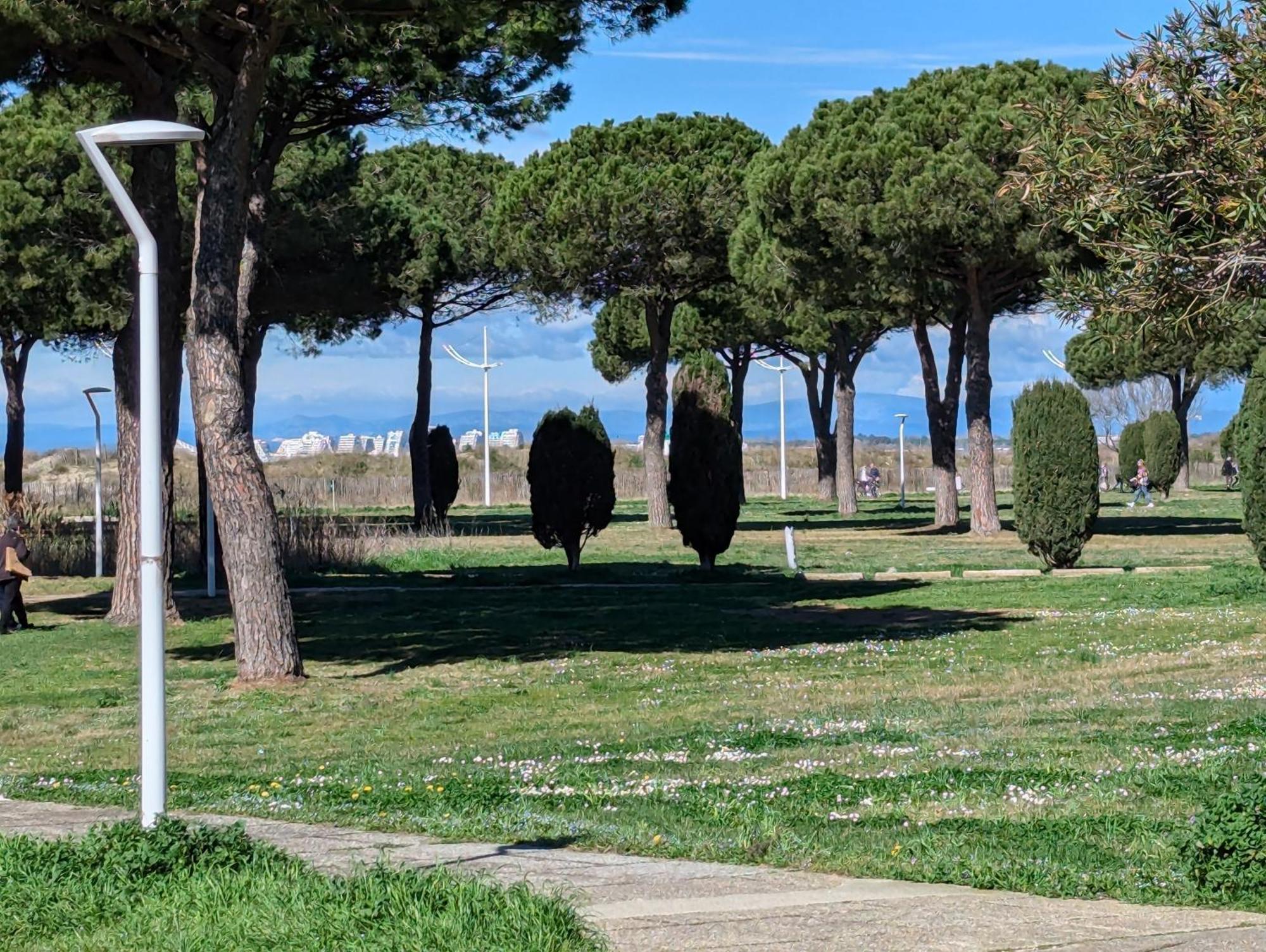 Agréable appartement en rez-de-jardin à deux pas des plages Le Grau-du-Roi Extérieur photo